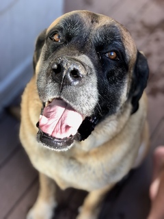 Makena Richards avatar