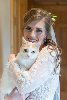 Allie Vollhaber avatar