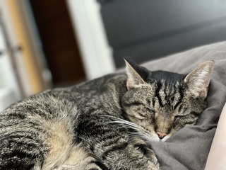 Jay Tiedemann avatar