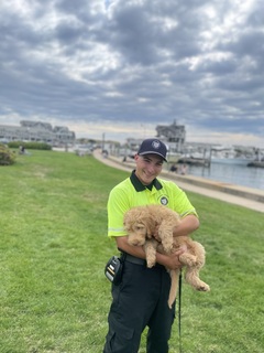 Nicholas Quaratella avatar