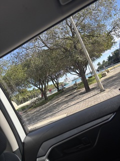 Bralen Cuffie avatar