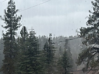 Joycelyn Cruz avatar