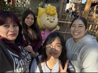 Ariana Verastegui avatar