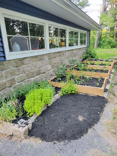 Lisa Charleson avatar