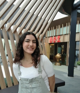 Parisa Mirghafouri avatar