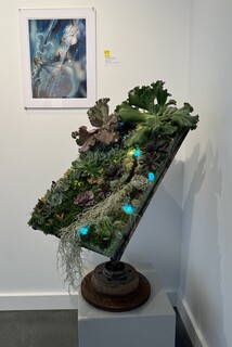 LaDonna Mitchell avatar