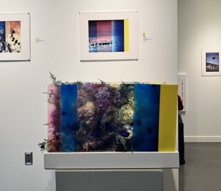 Cheyenne Johnson avatar