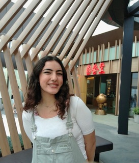 Parisa Mirghafouri avatar