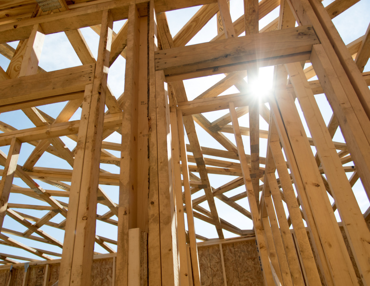 Frame the Future product image