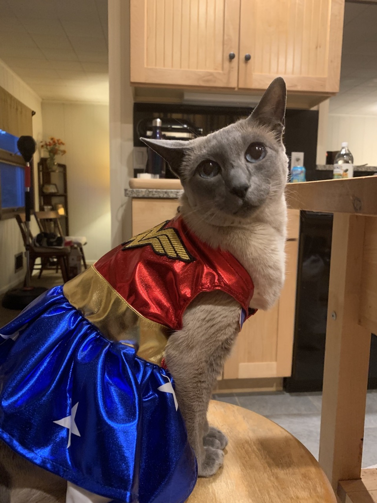 Whippany Witches and Warlocks logo