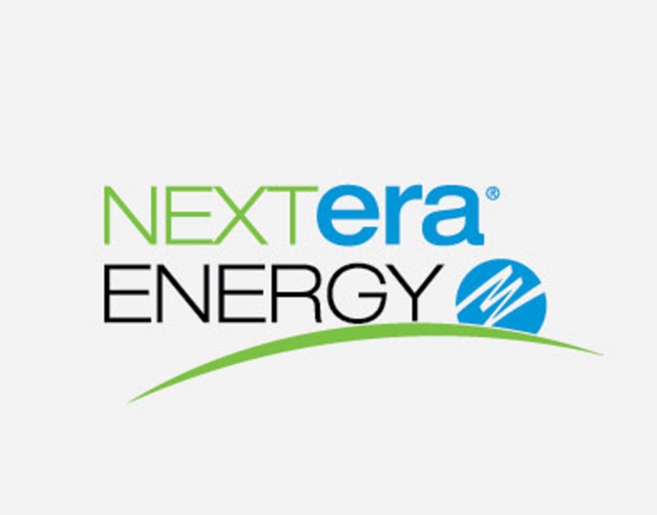 NextEra Energy/Business Management Team logo