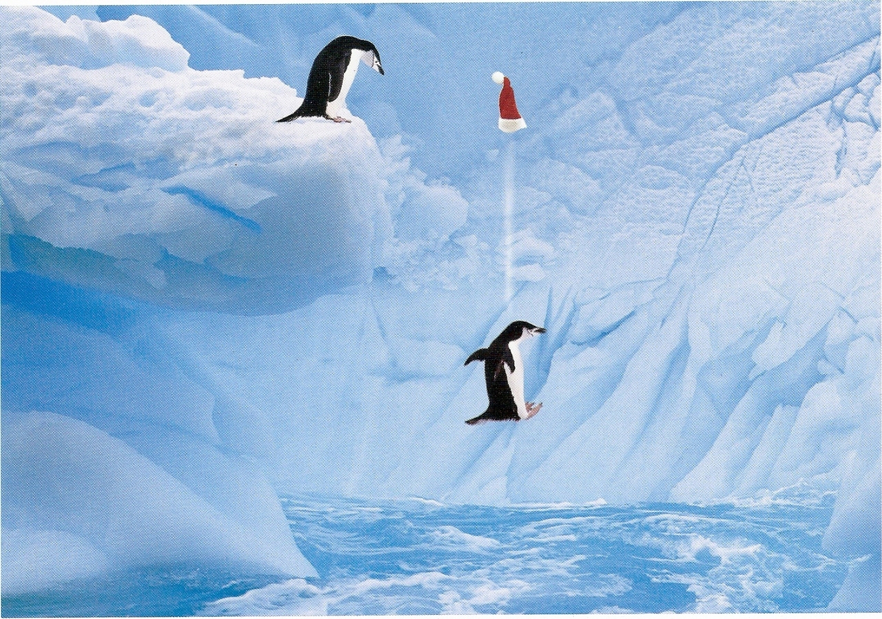 Freezin' for a Reason logo