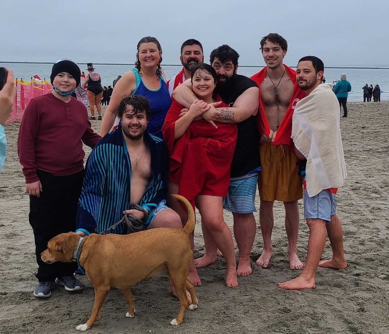 Knights of Shivery logo