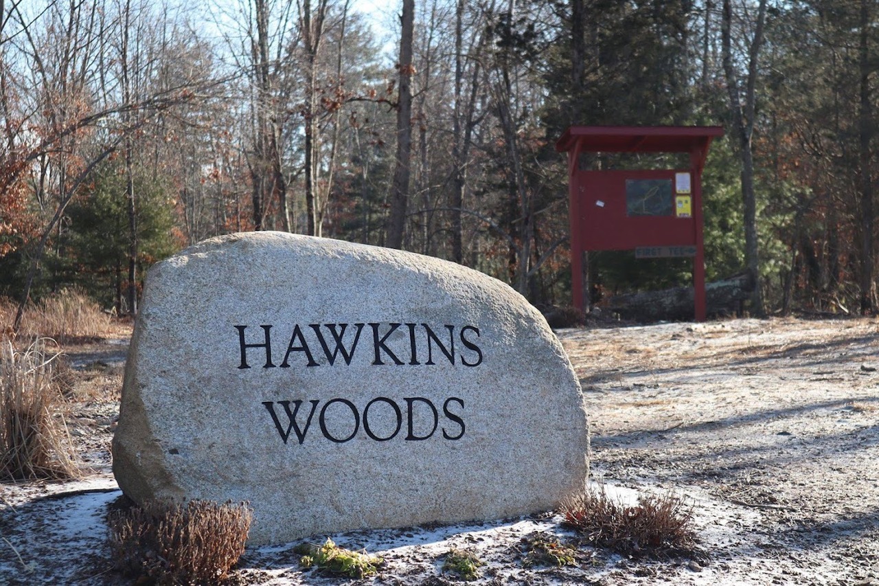 Hawkins Woods DG Plungers logo