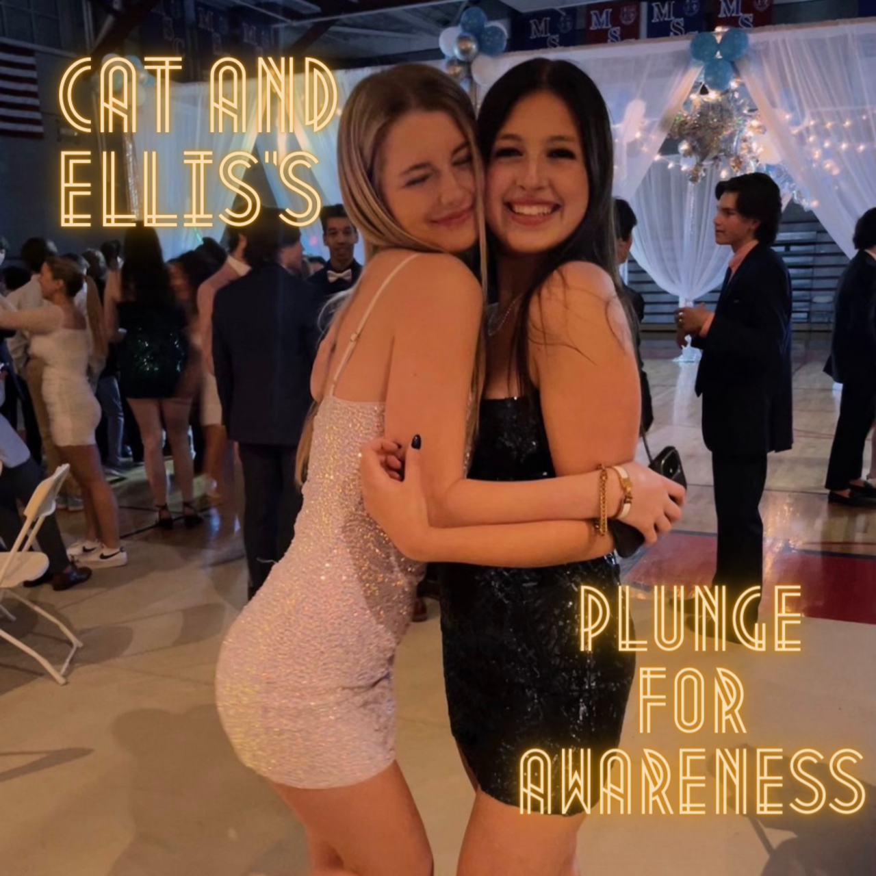 Cat and Ellis's Plunge for awareness logo