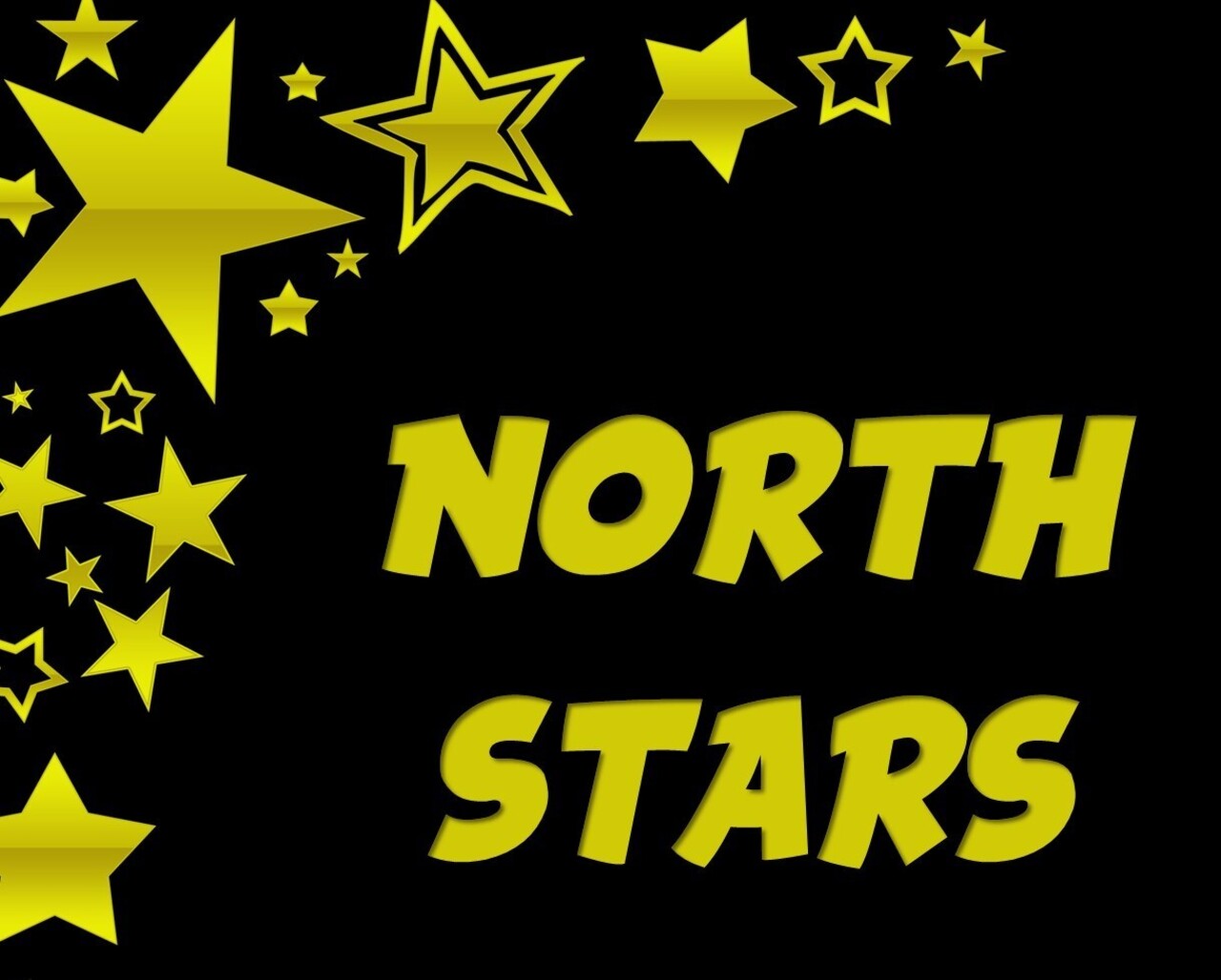 North Stars logo