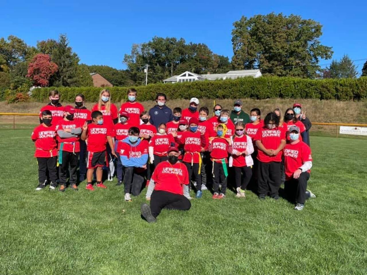 Unified Dolphins logo