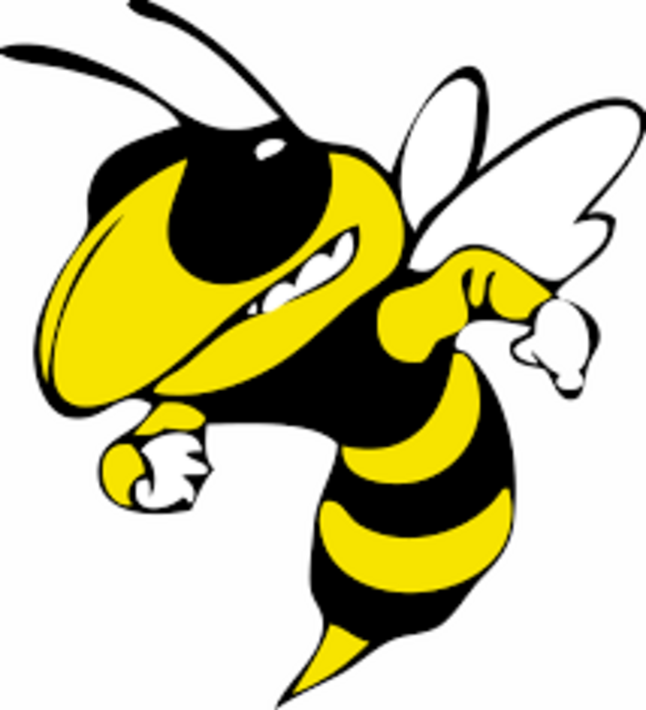 Provident Stingers logo