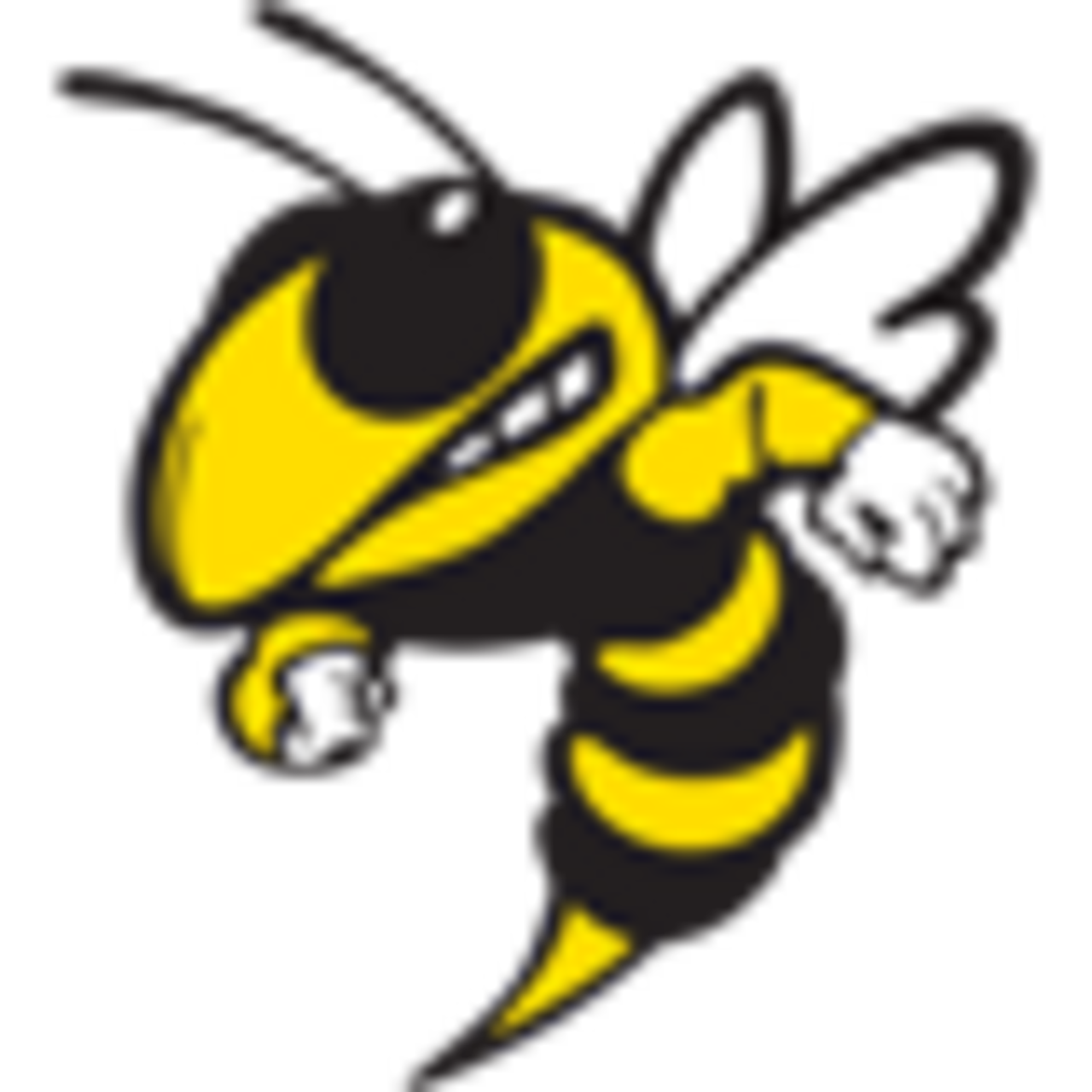 Forest Hills High School logo
