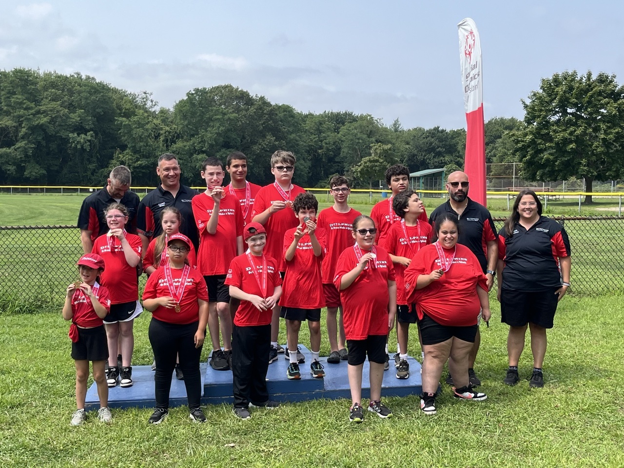 Unified Dolphins logo