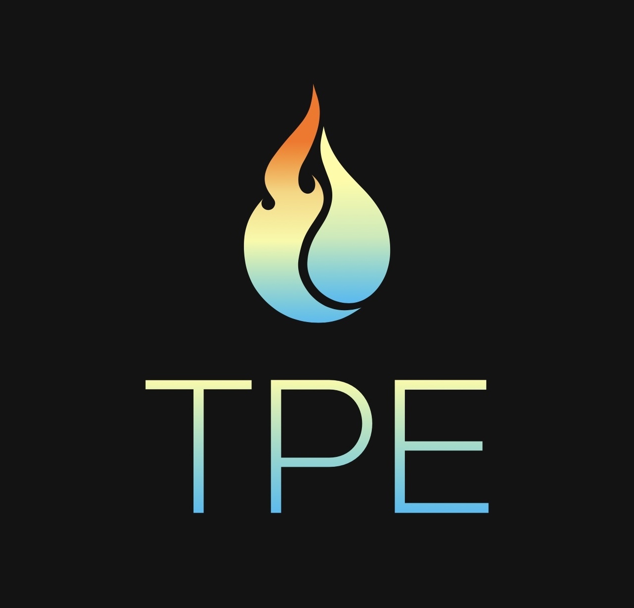 The Plunge Experience logo