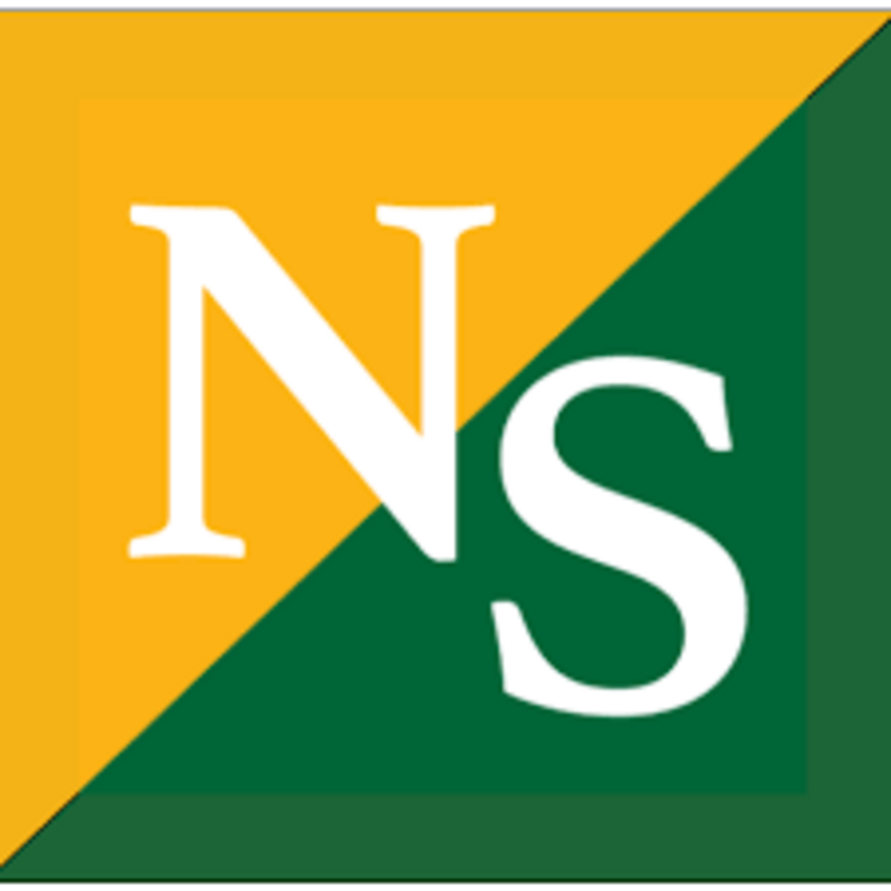 North Smithfield High School logo