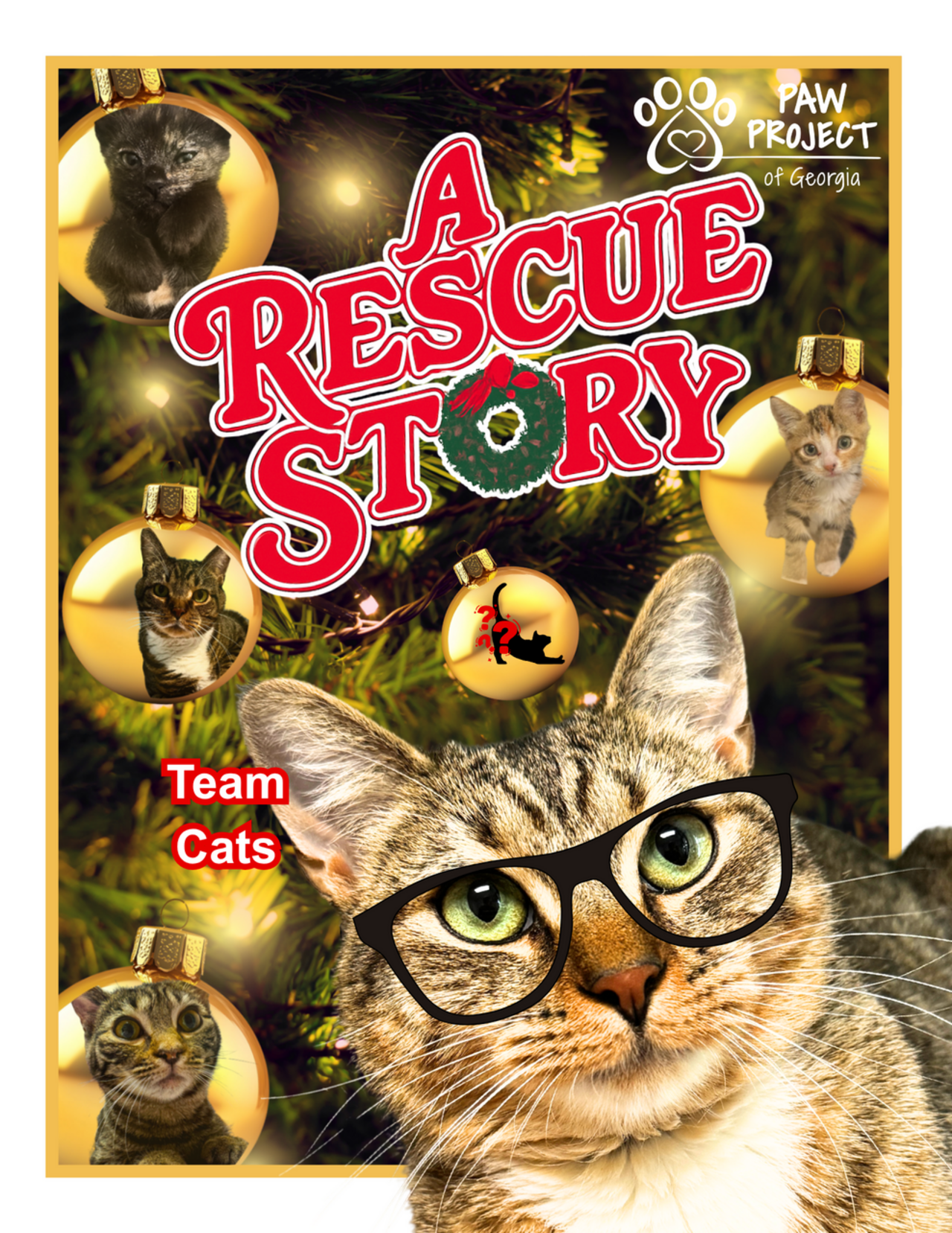 A Rescue Story for Cats logo