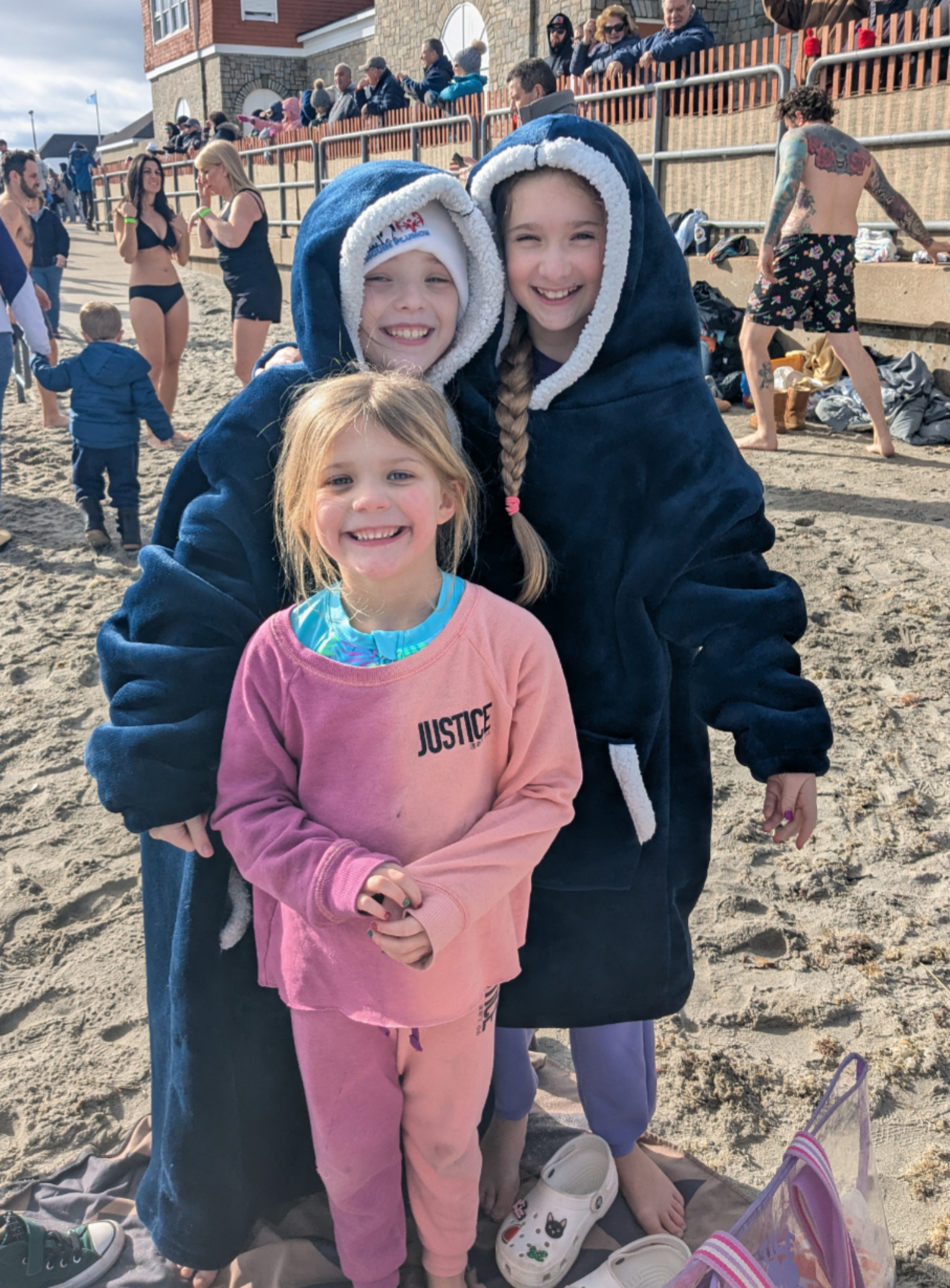 Frozen Swifties logo