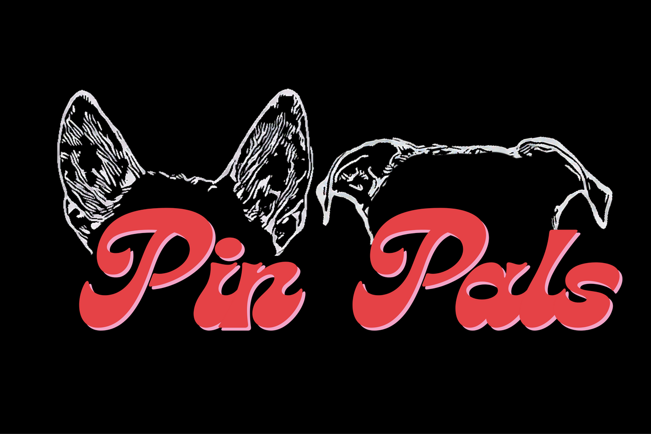 P&C Pin Pals logo