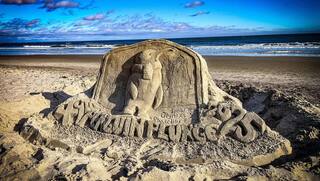 50th Annual Penguin Plunge logo