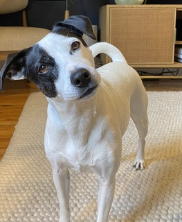 Women Build 2026 logo