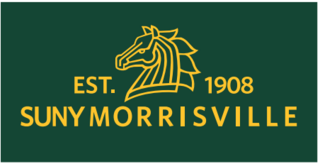 2026 Dolphins for Nurses logo