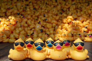 23rd Annual Rubber Duck Regatta logo