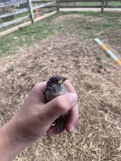 Everett Cassara avatar