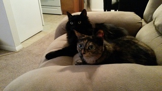 Christina Thomas avatar