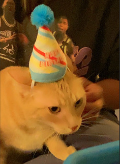 Jennifer Antonio avatar