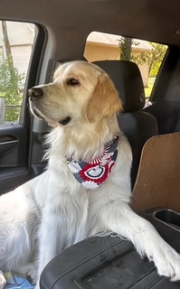 Mark (Von) Heringshausen avatar