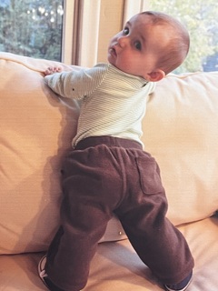 ollie levitsky avatar