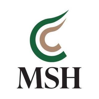 Risk Strategies - Meeker Sharkey Hurley logo