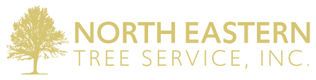 North Eastern Tree logo