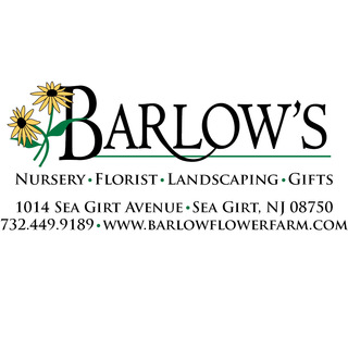 Barlow's logo