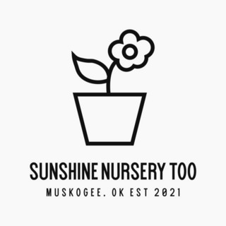 Sunshine Nursery Too logo