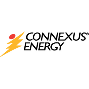 Connexus Energy logo