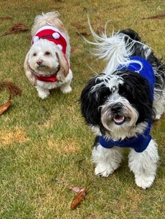 Bandit and Ladybug Ragsdale logo