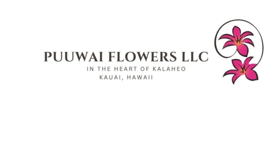 Floral logo