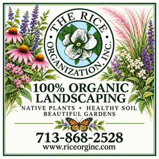 The Rice Organization, Inc. logo