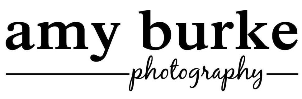 Amy Burke logo