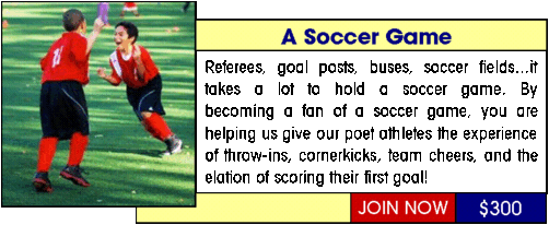 Soccer_Game.gif