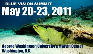 blue_summit2011.jpg