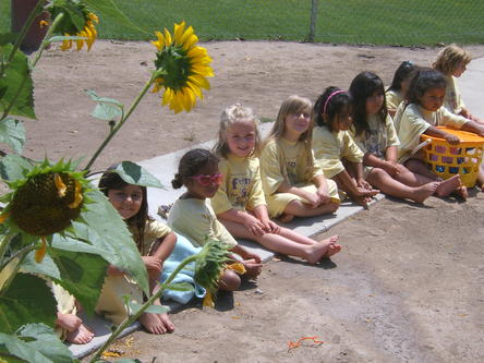 Sunflowers___Girls.JPG